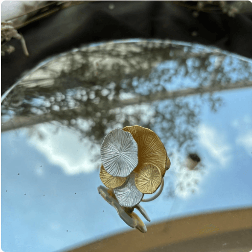 Women's Ring - Lotus Pad