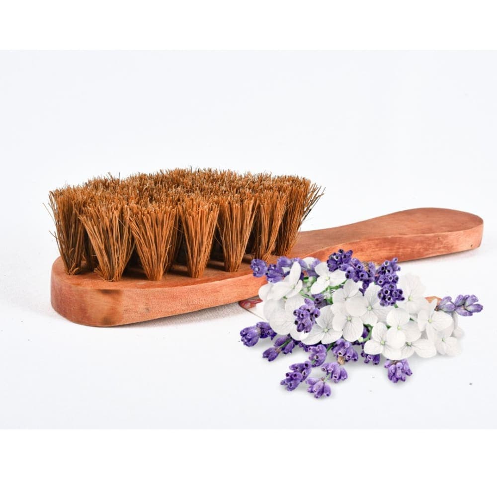 Exfoliating Dry Body Coir Brush – Natural Wooden Long Handle Body Brush