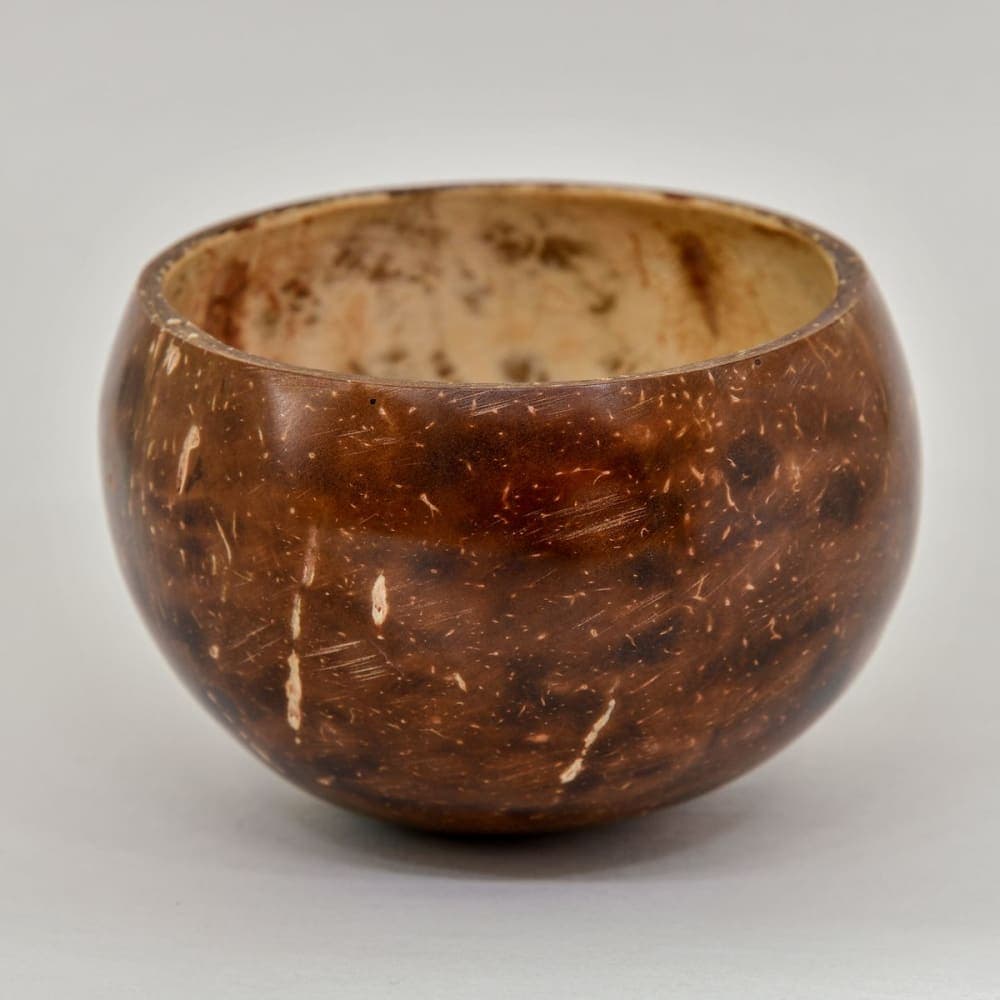 Small Coconut Shell Bowl with Spoon | Pack 2