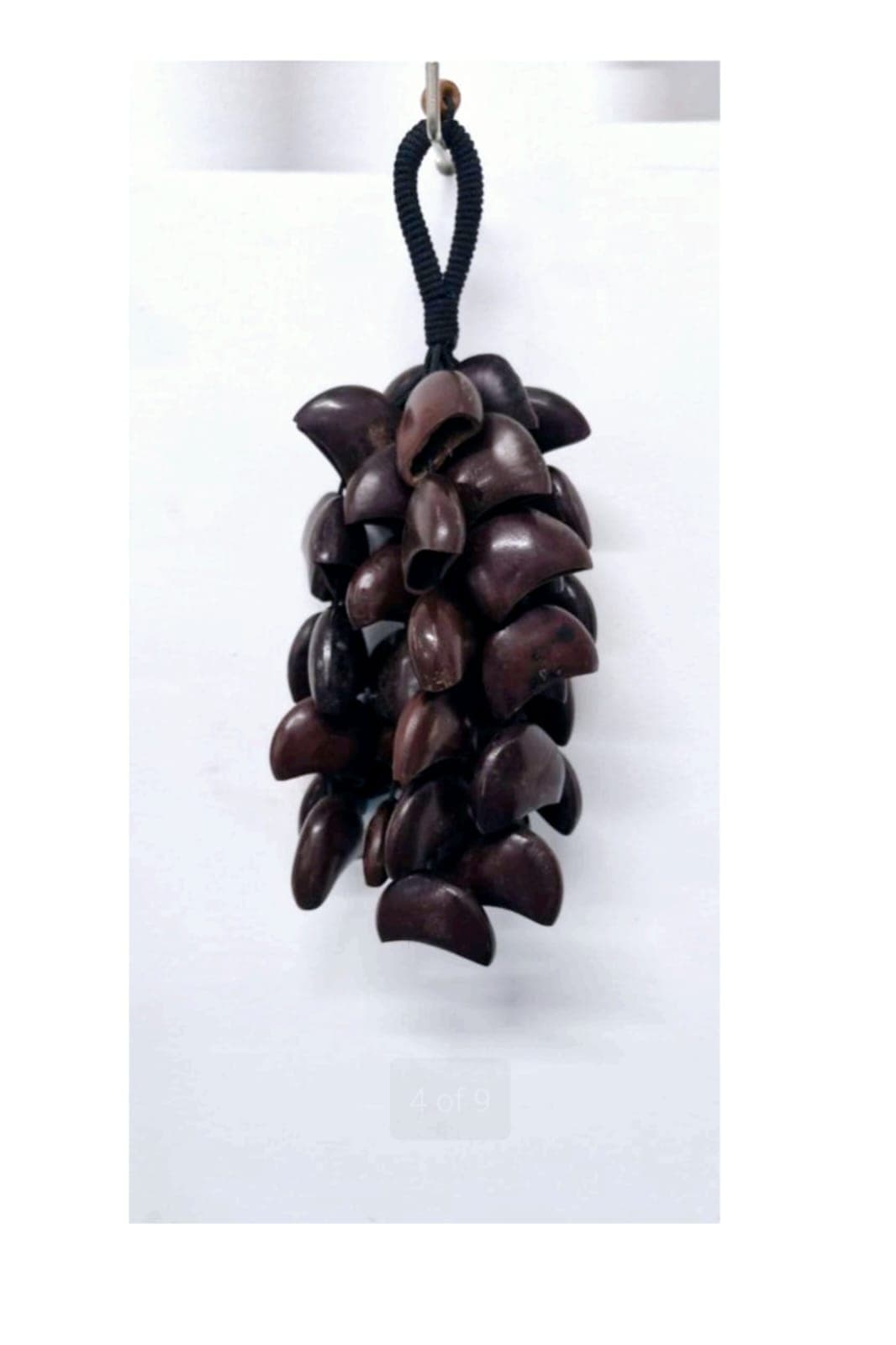 Sea Rattle